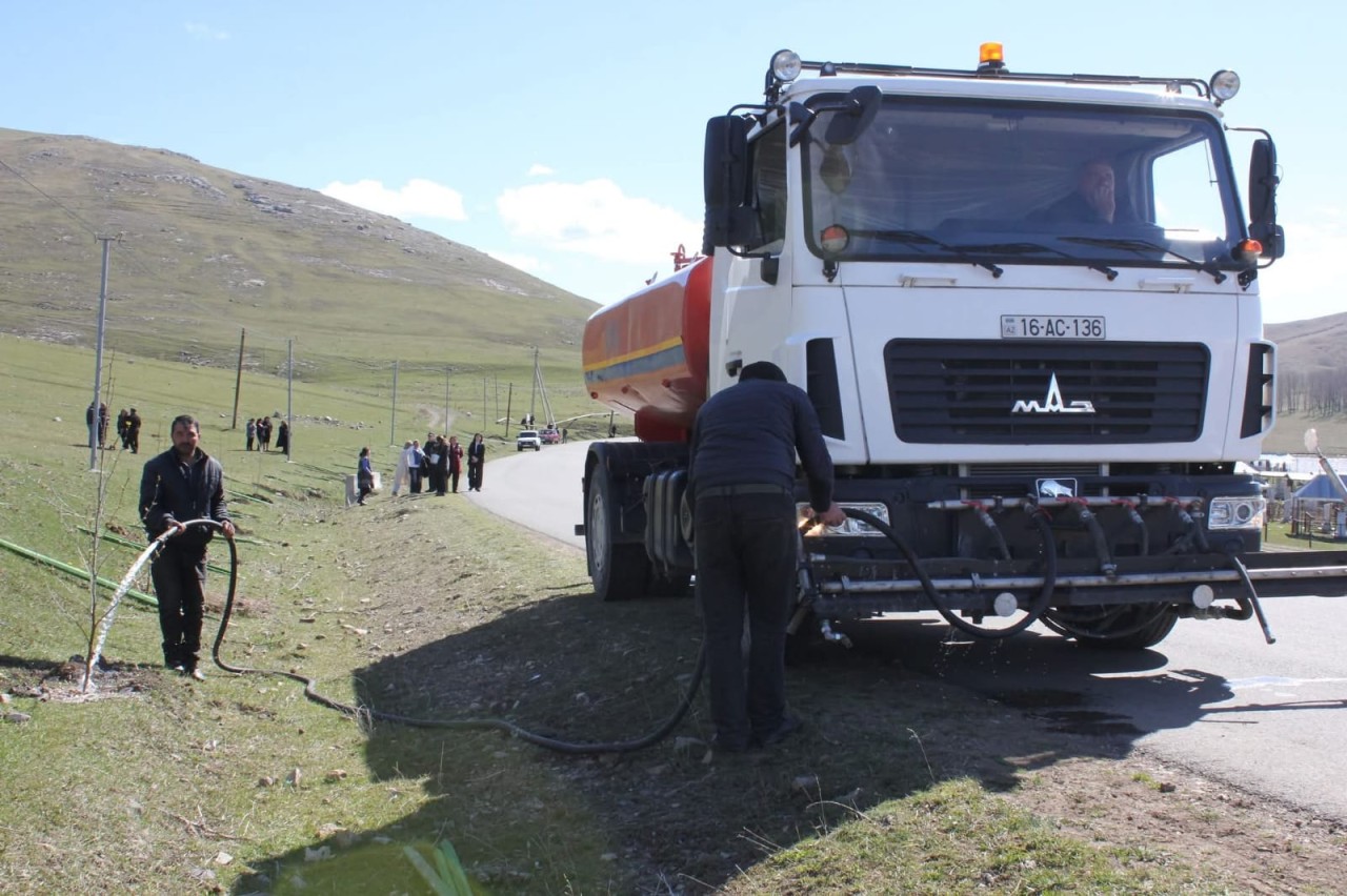Daşkəsəndə ağacəkmə aksiyası keçirildi - FOTOLAR